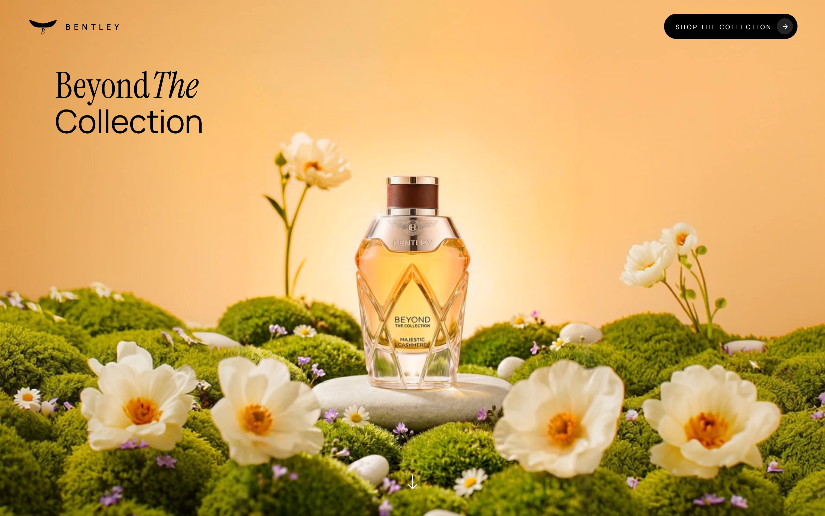 Luxury Botanical — Beyond The Collection preview